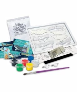 4M - Mould And Paint: Sharks 7 4M - Mould And Paint: Sharks -Le Toy Van Sales C4785 4MMouldandPaintSharks 3 1024x1024