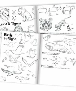 Alternative view of EeBoo - Learn To Draw Animals Book With Kevin Hawkes