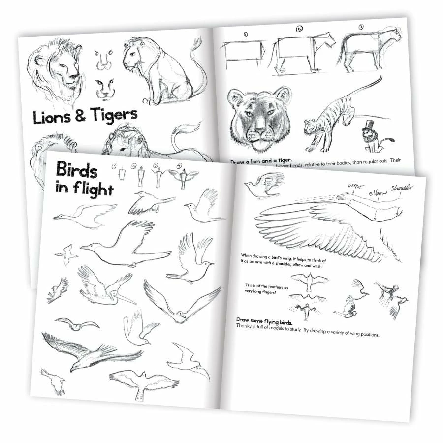 EeBoo - Learn To Draw Animals Book With Kevin Hawkes 4 EeBoo - Learn To Draw Animals Book With Kevin Hawkes - Image 2